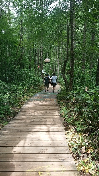 �ե������å��������ե����å�����ʪ�����񡢥��åѡ��쥤�󥳡��ȡ��ݥ���硢����ե����ν��ޤꡢ�������å��Ҳ�õ�������⡢�����ץե����������å��Ҳ�õ��������