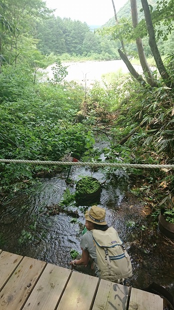 �ե������å��������ե����å�����ʪ�����񡢥��åѡ��쥤�󥳡��ȡ��ݥ���硢����ե����ν��ޤꡢ�������å��Ҳ�õ�������⡢�����ץե����������å��Ҳ�õ��������