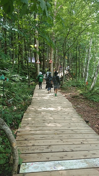 �ե������å��������ե����å�����ʪ�����񡢥��åѡ��쥤�󥳡��ȡ��ݥ���硢����ե����ν��ޤꡢ�������å��Ҳ�õ�������⡢�����ץե����������å��Ҳ�õ��������