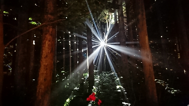 �ե������å��������ե����å�����ʪ�����񡢥��åѡ��쥤�󥳡��ȡ��ݥ���硢����ե����ν��ޤꡢ�������å��Ҳ�õ�������⡢�����ץե����������å��Ҳ�õ��������