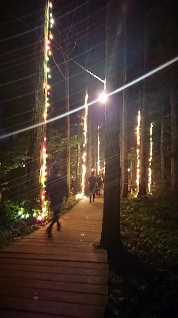 �ե������å��������ե����å�����ʪ�����񡢥��åѡ��쥤�󥳡��ȡ��ݥ���硢����ե����ν��ޤꡢ�������å��Ҳ�õ�������⡢�����ץե����������å��Ҳ�õ��������