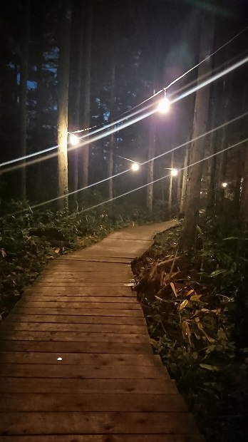 �ե������å��������ե����å�����ʪ�����񡢥��åѡ��쥤�󥳡��ȡ��ݥ���硢����ե����ν��ޤꡢ�������å��Ҳ�õ�������⡢�����ץե����������å��Ҳ�õ��������